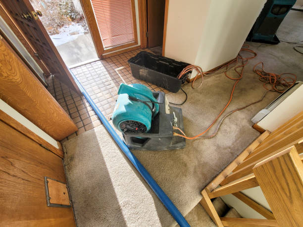 Best Water damage restoration process  in Hudson Bend, TX