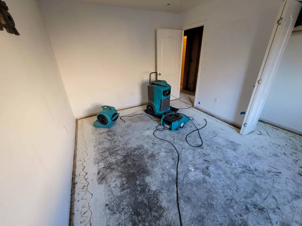 Best Fire Damage Restoration  in Hudson Bend, TX