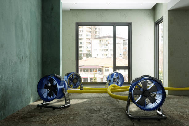Best Flood restoration services  in Hudson Bend, TX